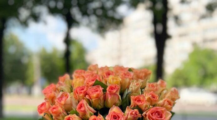 Букет квітів: секрети створення та догляду від Flowers.ua