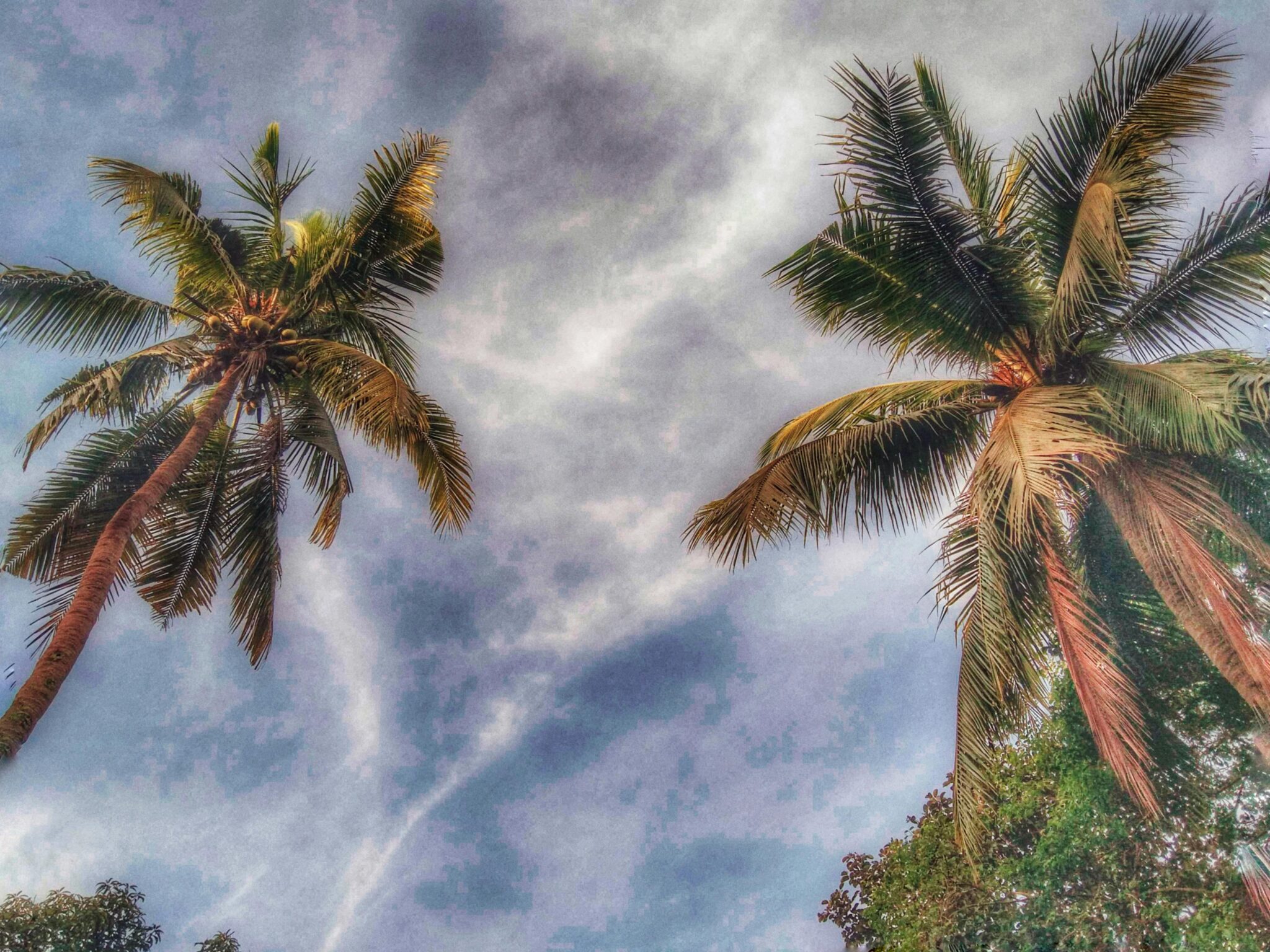 Чистый разворот блокнота и принадлежности для письма