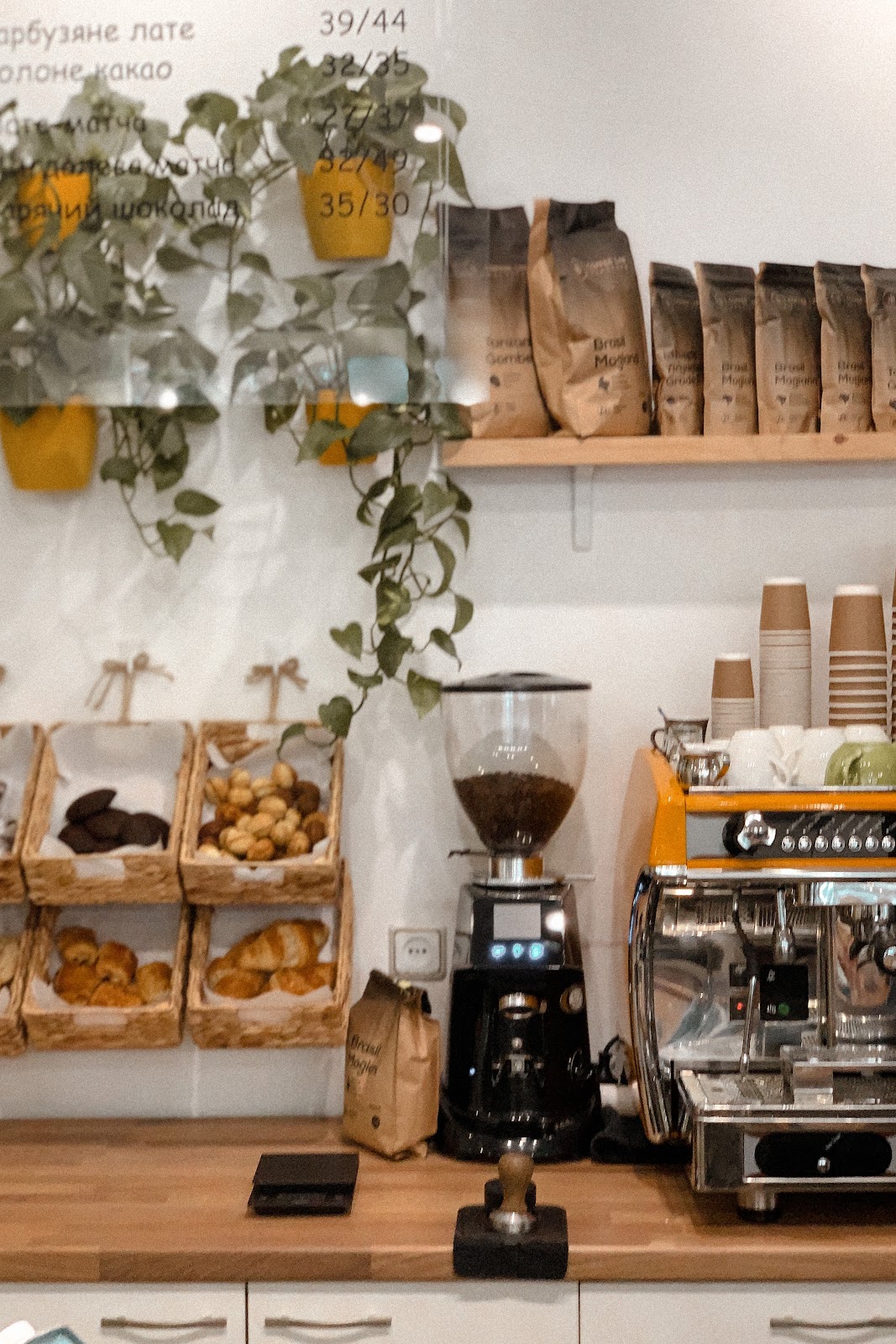 Fox coffee — Cafe